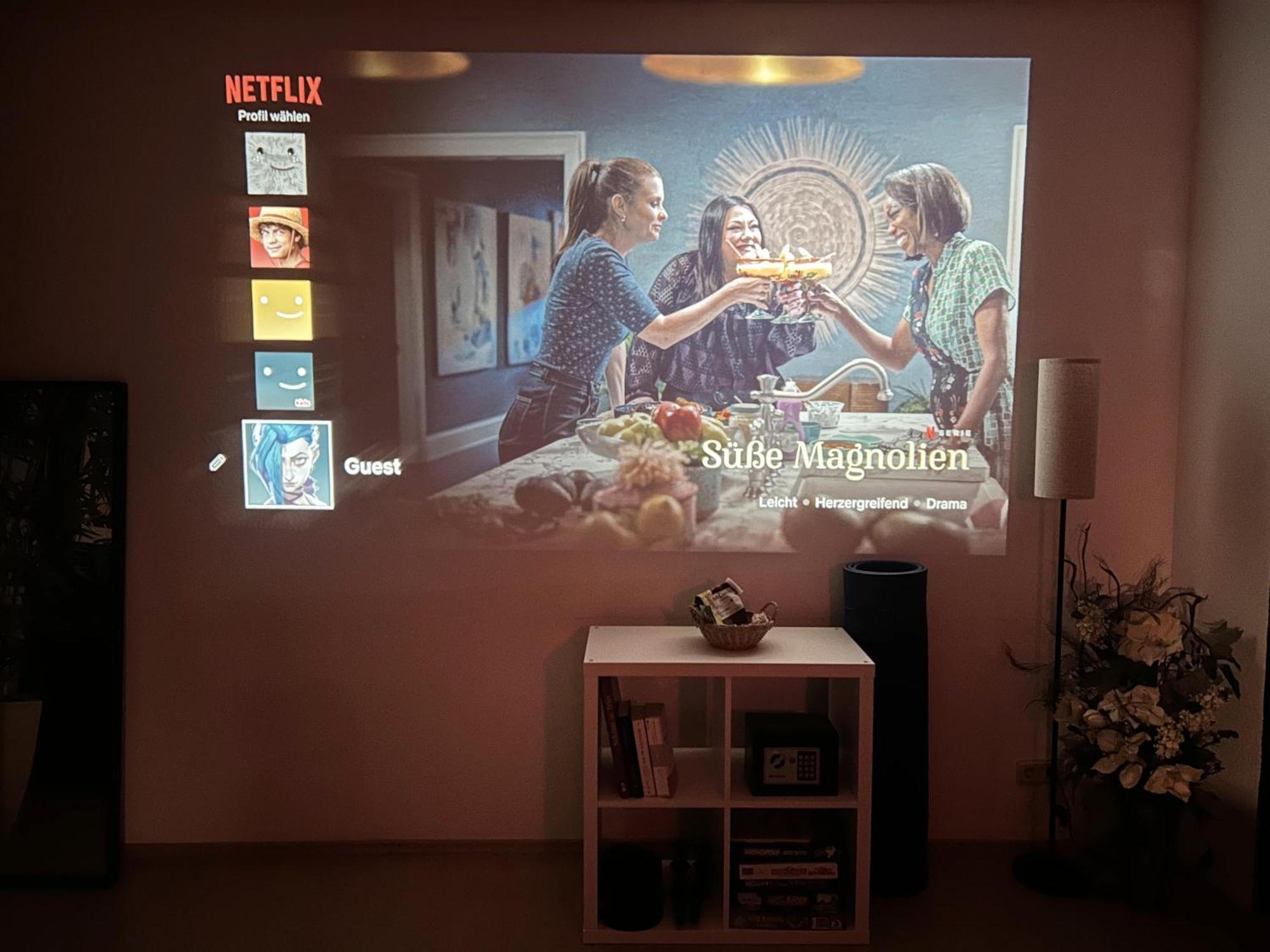 Zentrale Ferienwohnung Trier-Euren Mit Heimkino, Kueche, Wallbox & Kostenlose Fahrraeder Eksteriør billede